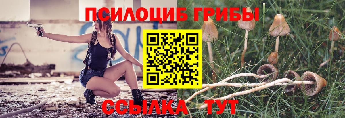 Псилоцибиновые грибы GOLDEN TEACHER Асино