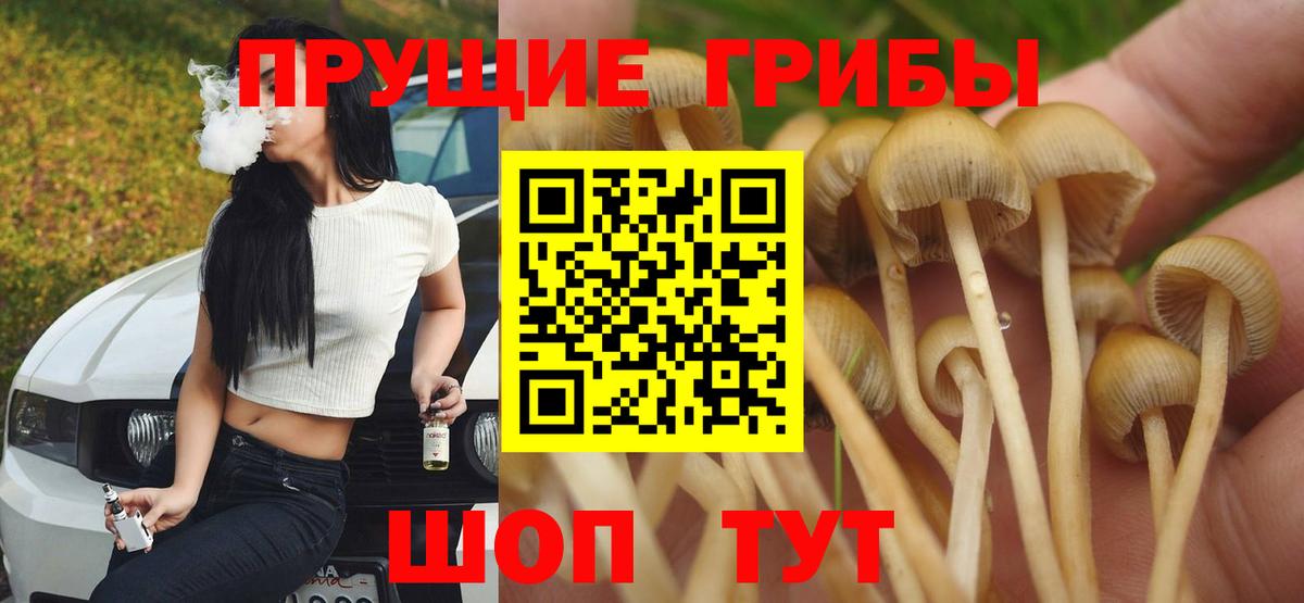 Псилоцибиновые грибы Psilocybine cubensis  Вход с VPN  Асино 